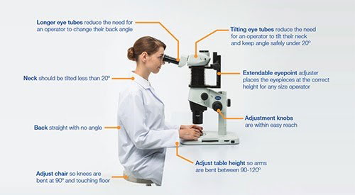 Optimum ergonomics for microscopy