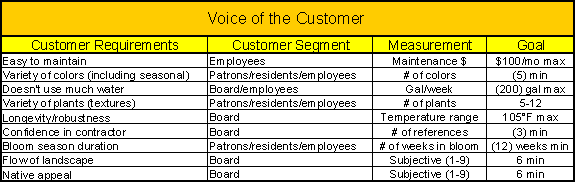 voice of the customer template