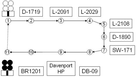 work-cell-layout