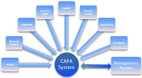 capa process steps capa process steps