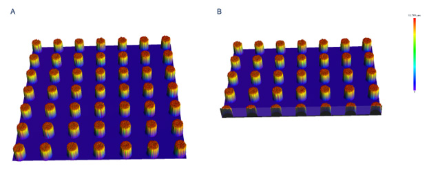 Laser-confocal-scanning-microscope-scan