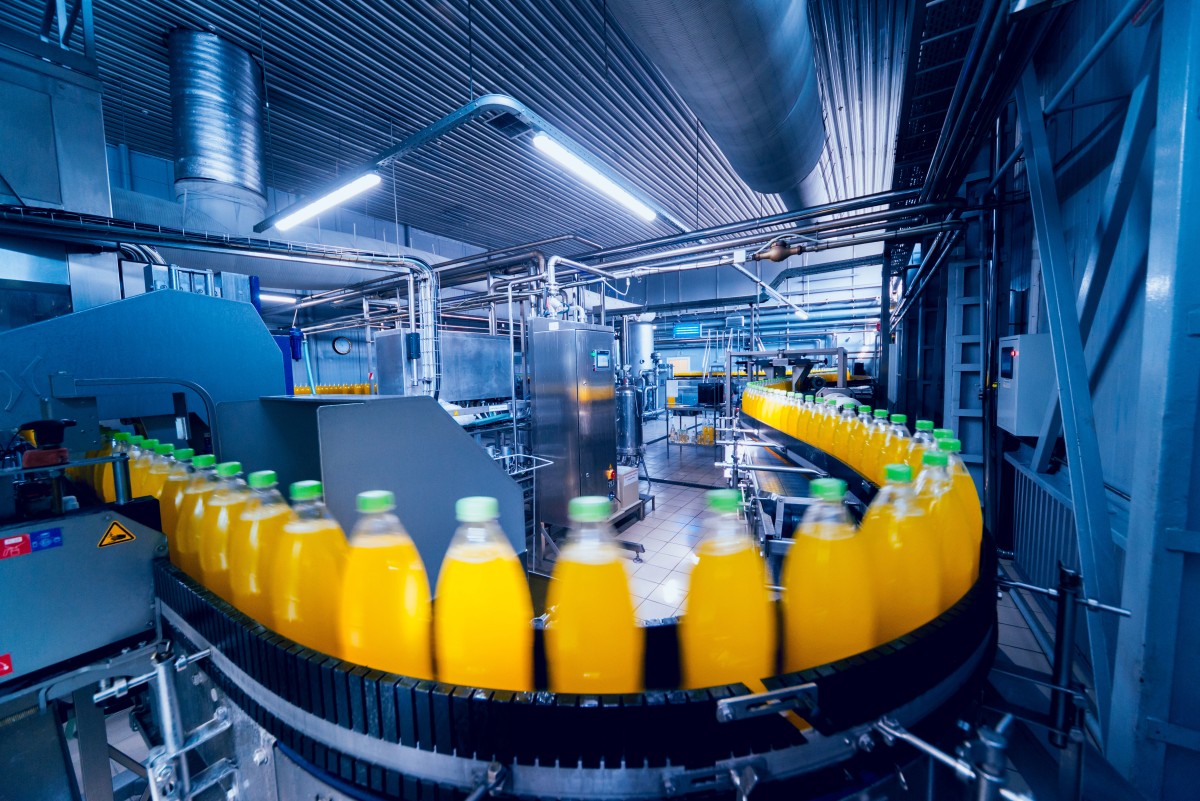 bottles on conveyor