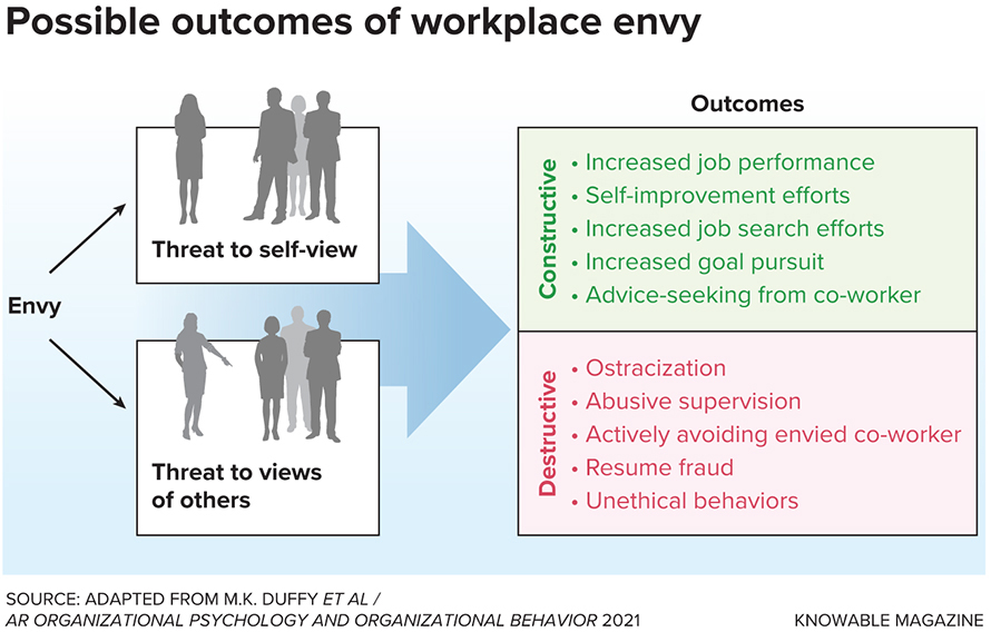 Workplace envy can affect how employees view themselves and their colleagues.