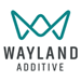 Wayland Additive’s picture