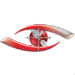 DimEye Corp.'s picture