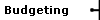 Budgeting