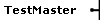 TestMaster