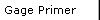 Gage Primer