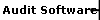 Audit Software