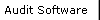 Audit Software
