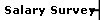 Salary Survey