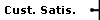 Cust. Satis.